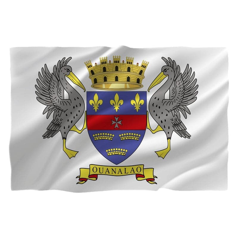 Drapel Saint Barthelemy